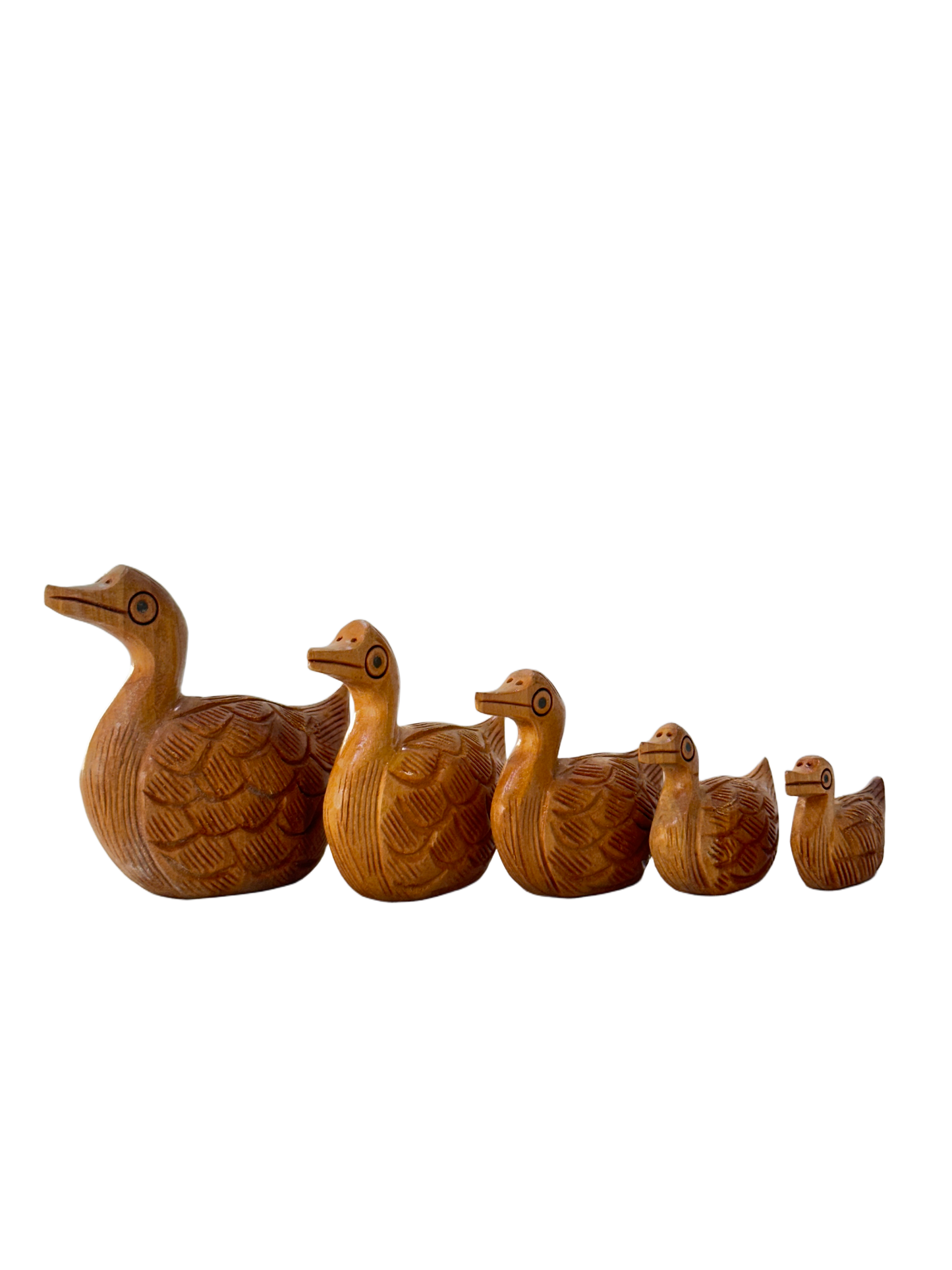 DUCK ANIMAL