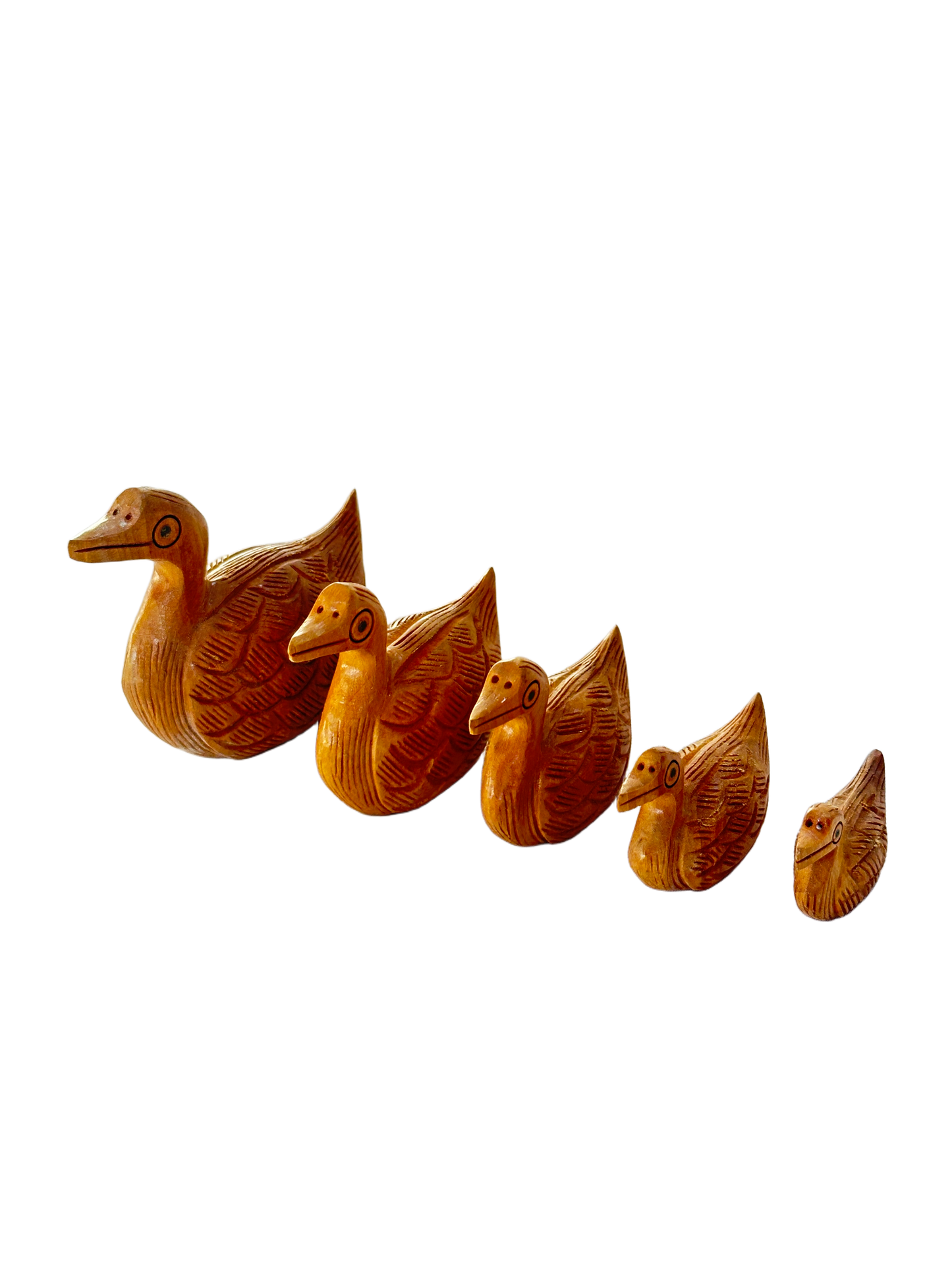 DUCK ANIMAL