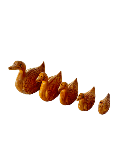 DUCK ANIMAL