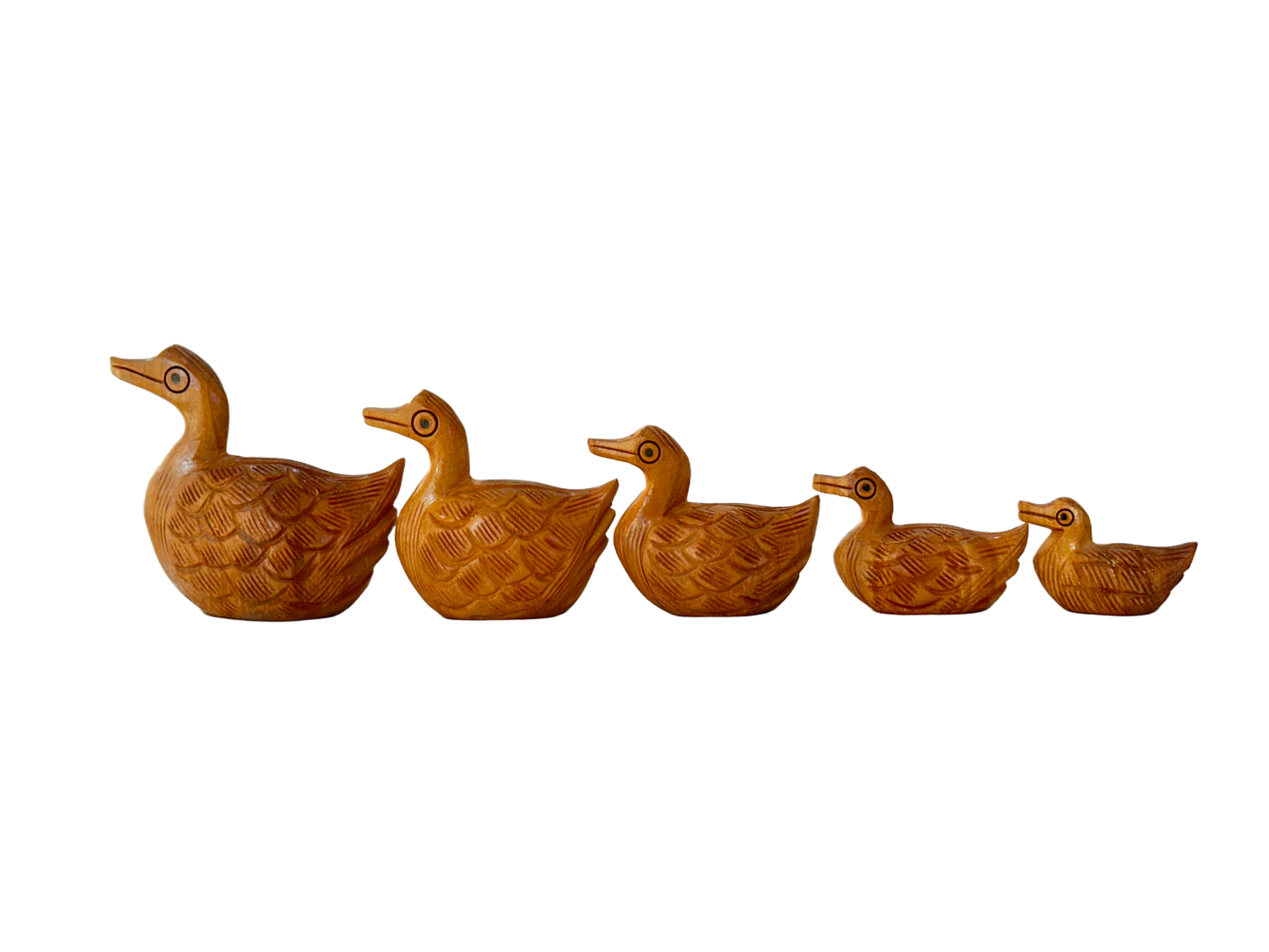 DUCK ANIMAL