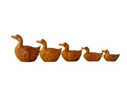 DUCK ANIMAL