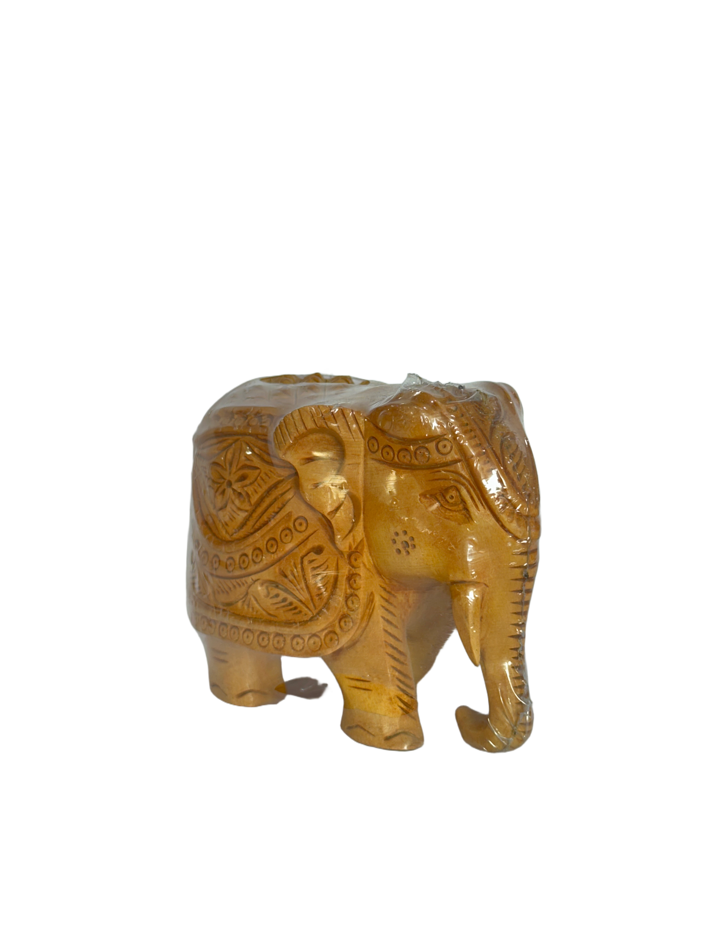ELEPHANT UP TRUNK