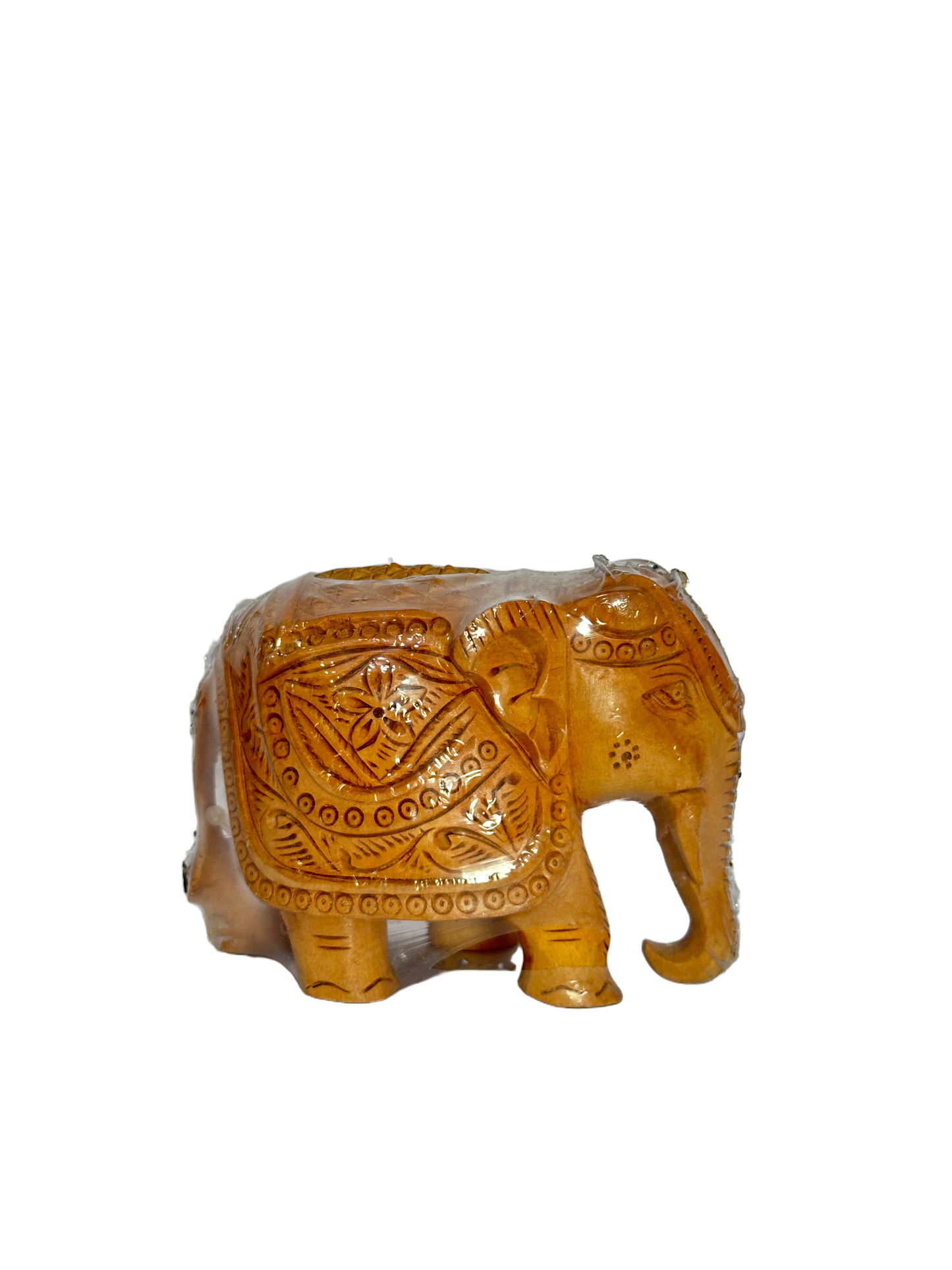 ELEPHANT UP TRUNK