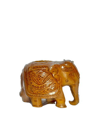ELEPHANT UP TRUNK