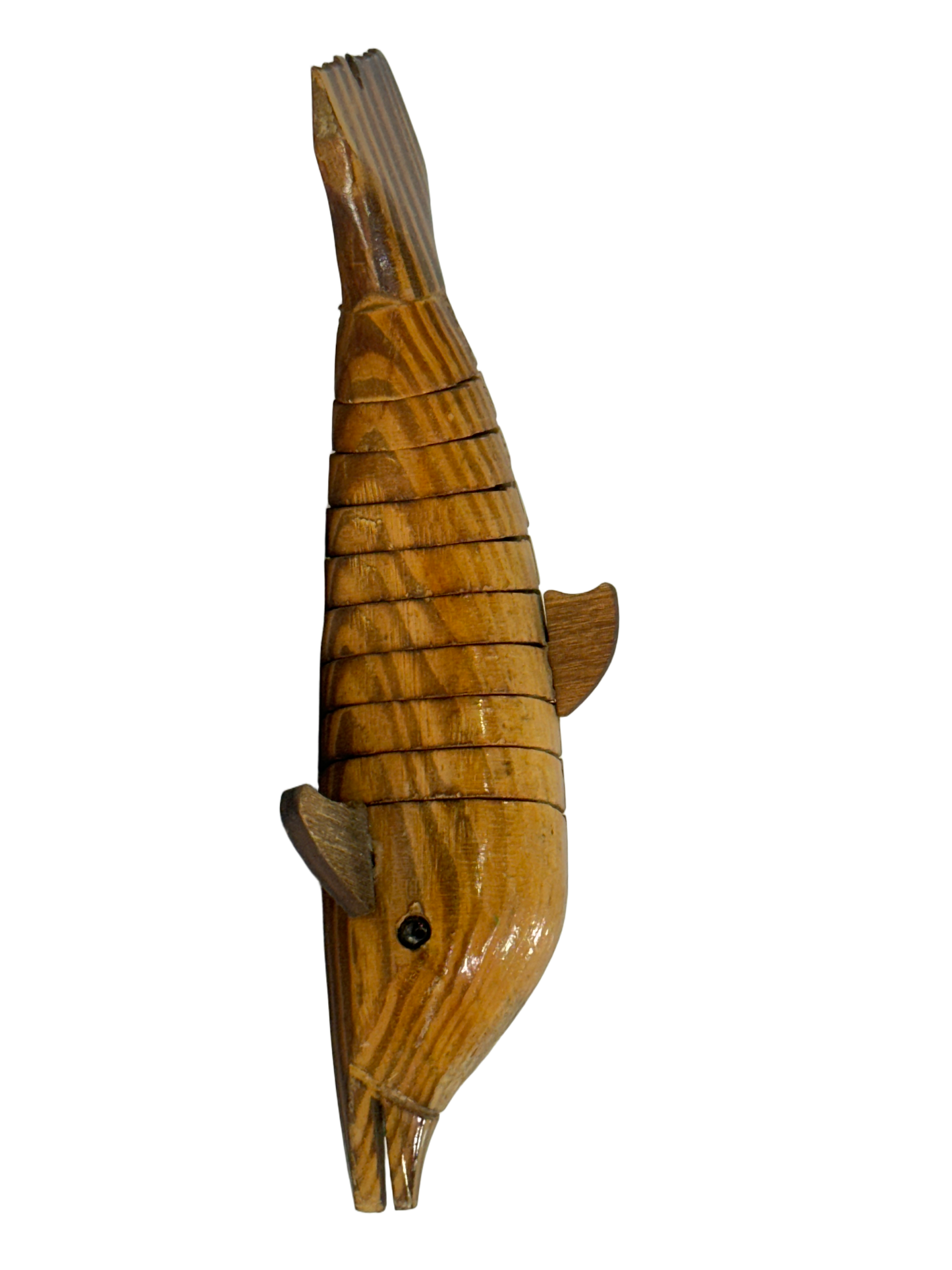 SHARK