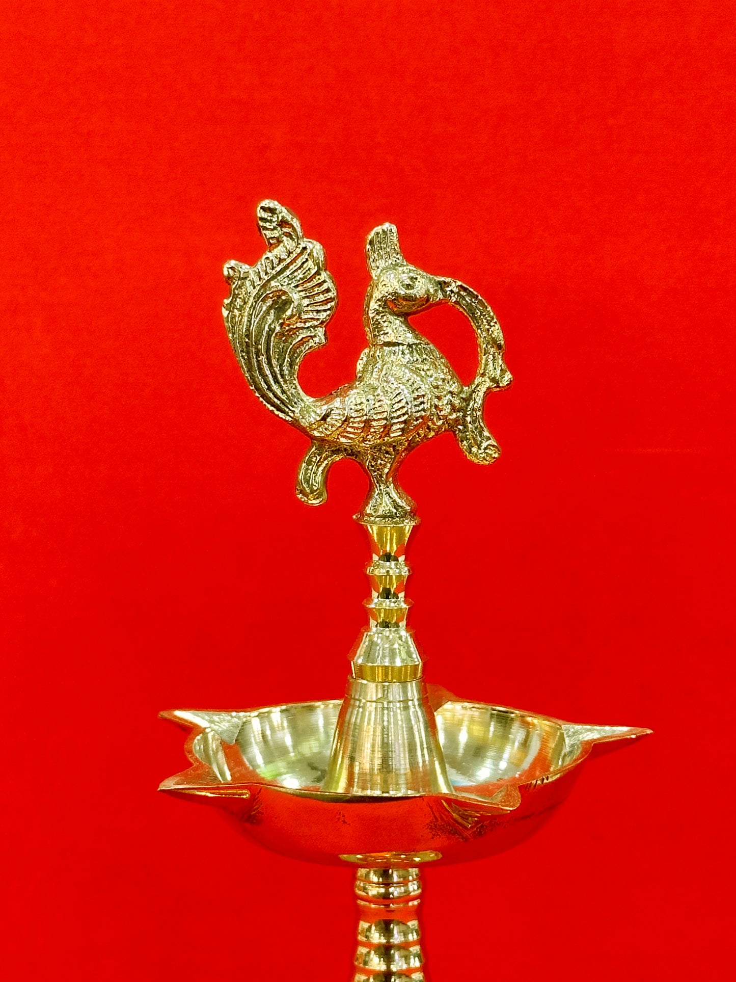 KERALA FANCE 7 NO