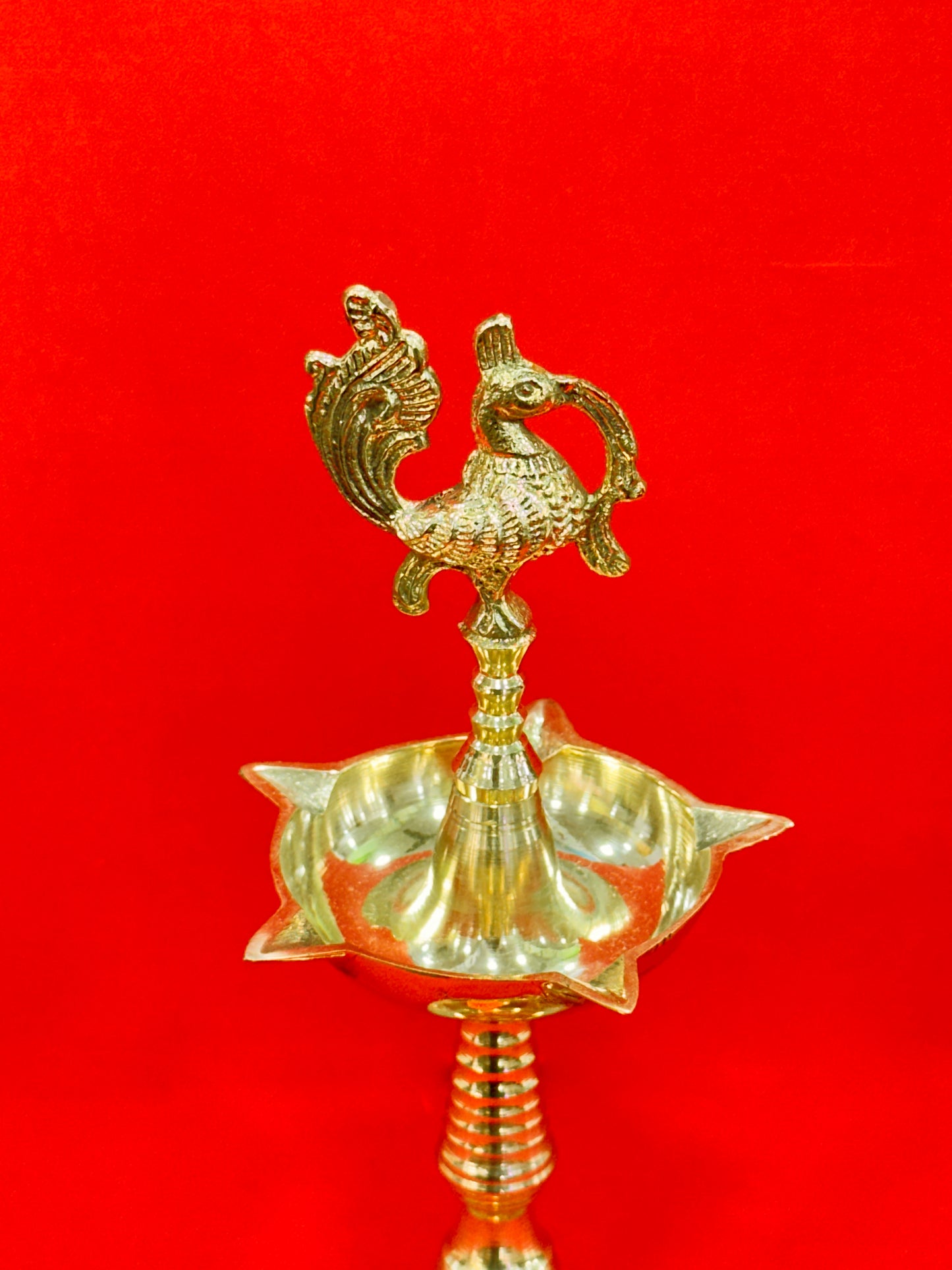 KERALA FANCE 7 NO